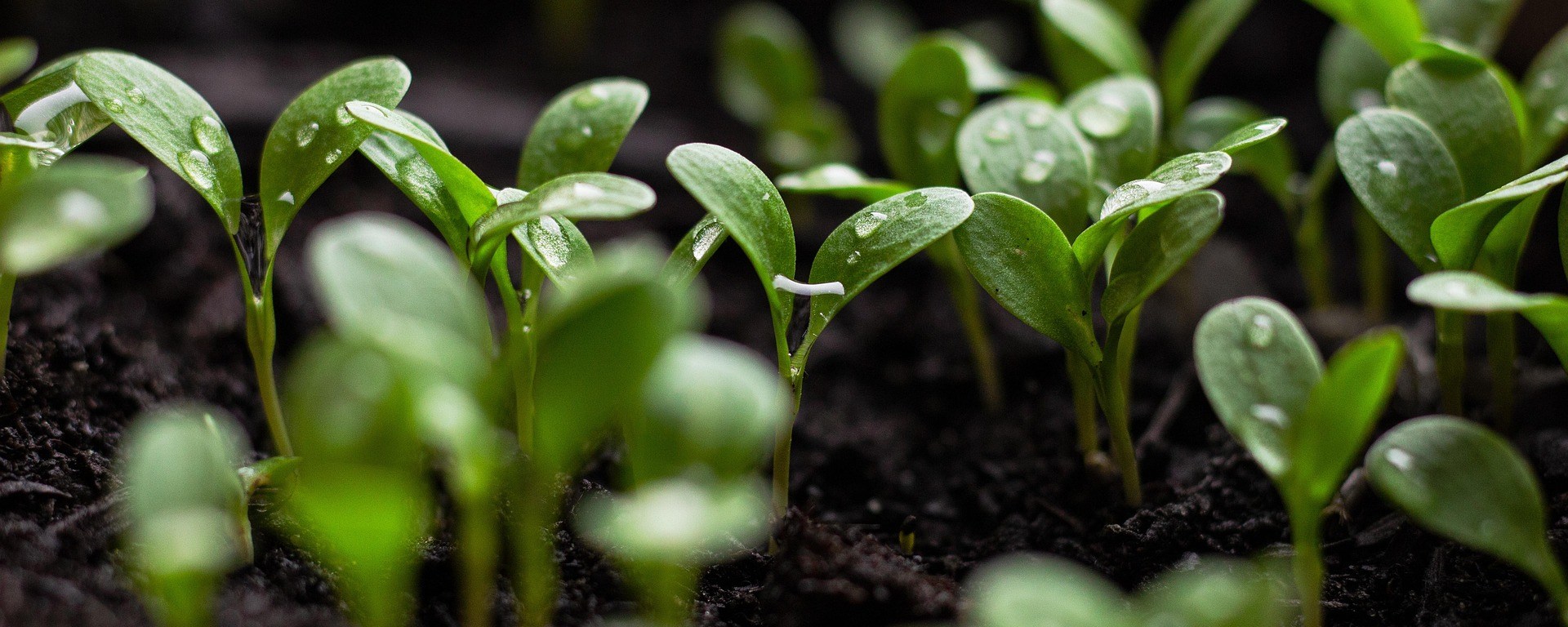 Nachhaltigkeitskommunikation